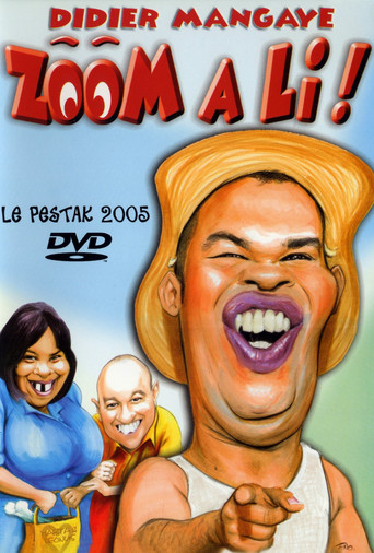 Zoom a li ! poster