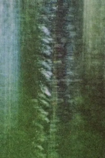 Rue De La Montagne poster