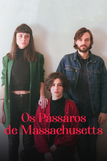 Os Pássaros de Massachusetts poster