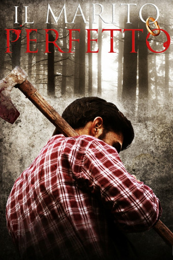 The Perfect Marriage poster