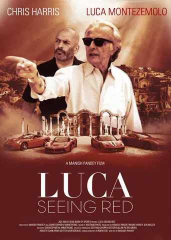 Luca: Seeing Red poster