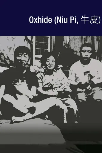 Oxhide poster