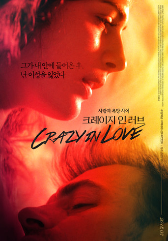 Crazy in Love poster