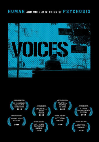 Voices poster