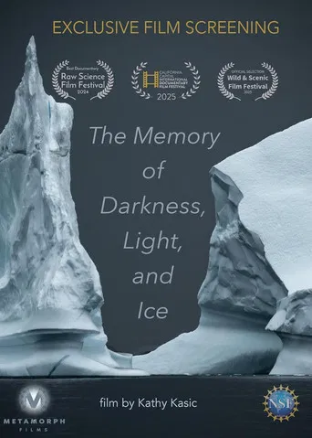 Memory of Darkness Light and Ice poster