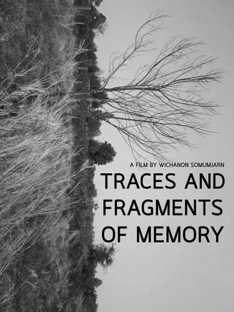 Traces and Fragments of Memory poster
