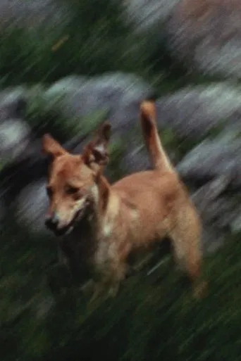 Beauty and the Beast poster