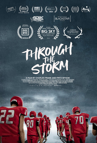 Through the Storm poster