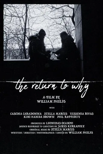 The Return to Why poster