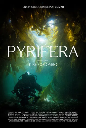 Pyrifera poster