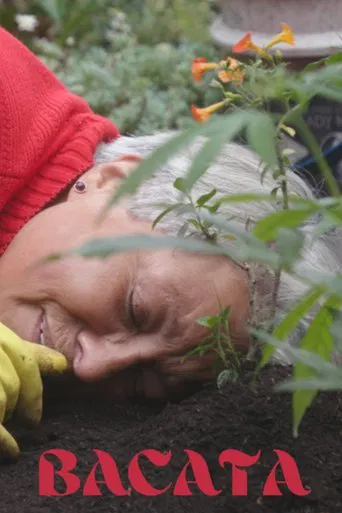 Bacata poster