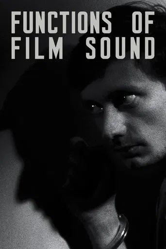 Functions of Film Sound poster