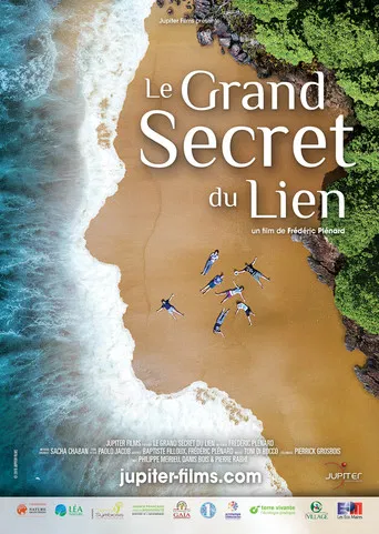 Le Grand Secret du lien poster
