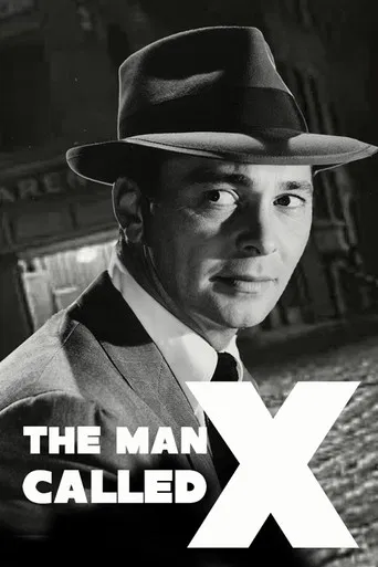 The Man Called X poster