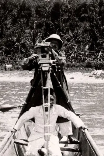 Inlandsche Bedrijven poster