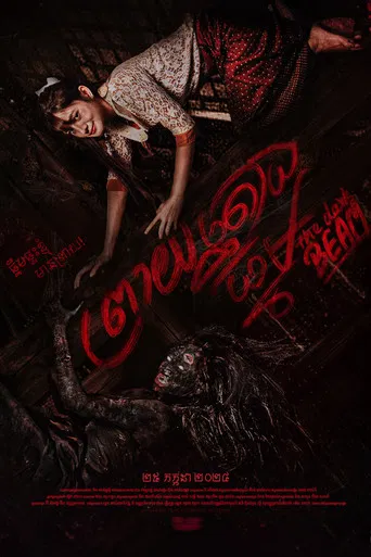 The Dark Beam poster