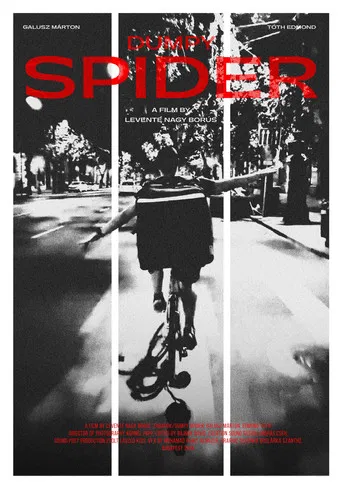 Dumpy Spider poster