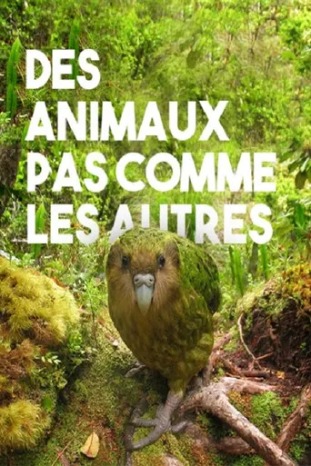 Des animaux pas comme les autres poster