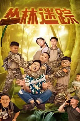 丛林迷踪 poster