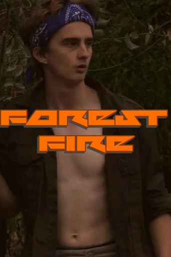 Forest Fire poster