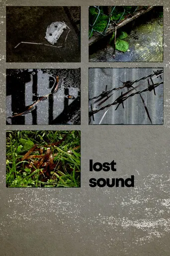 Lost Sound poster