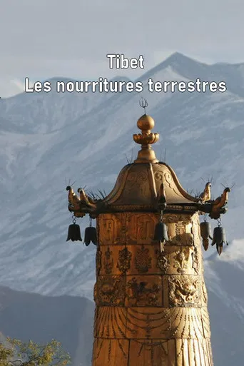Tibet - Les nourritures terrestres poster