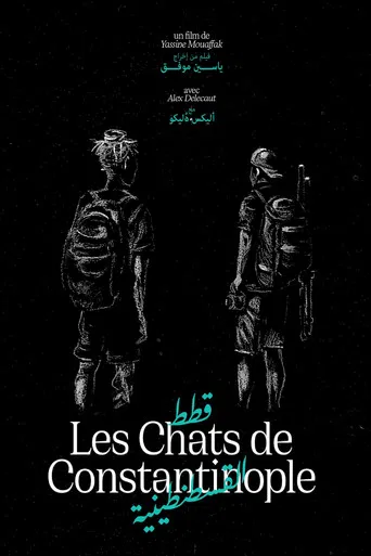 Les Chats de Constantinople poster