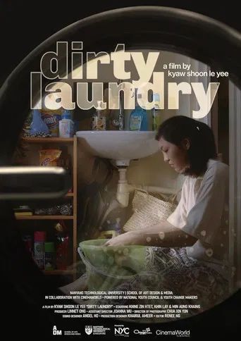 Dirty Laundry poster