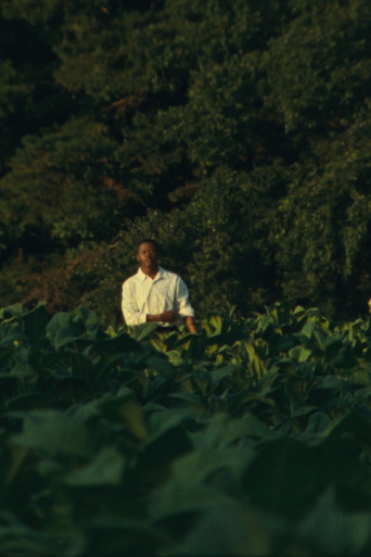 JESUS IS COMING (to take the Church away) poster