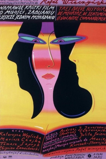 A Really Short Story about Love, Killing and Still Another Feeling poster