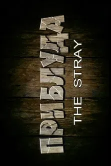 The Stray poster