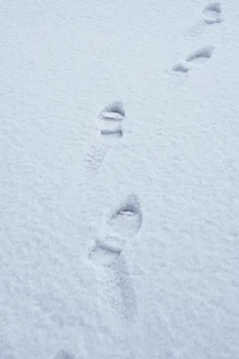 Terza passeggiata - Sulla neve poster