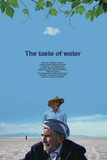 Taste of Water poster