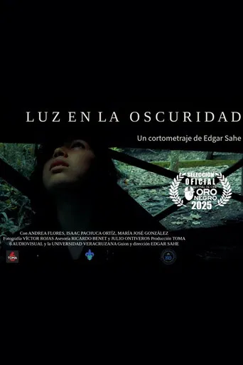 Luz en la oscuridad poster