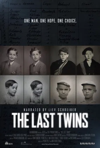 The Last Twins poster