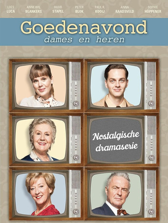 Goedenavond dames en heren poster