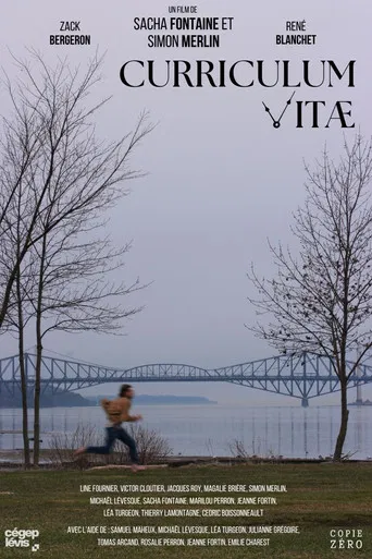 Curriculum Vitae poster