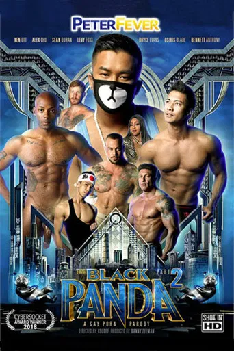 The Black Panda 2 poster