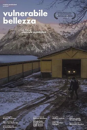 Vulnerable Beauty poster