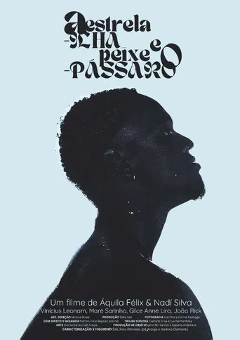 A Estrela-ilha e o Peixe-pássaro poster