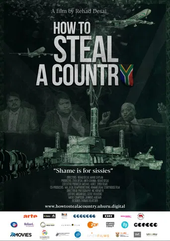 How to Steal a Country poster