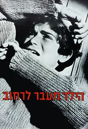 The Boy Across the Street poster