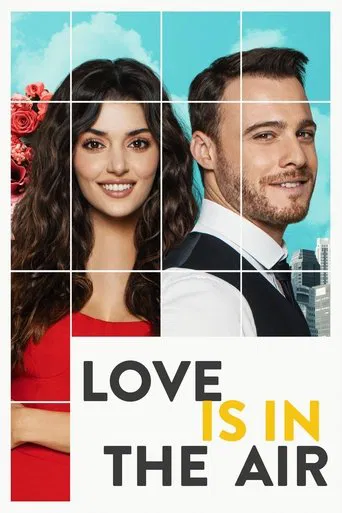 Love Is in the Air poster