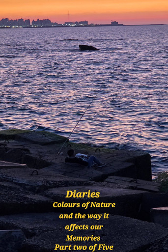 Diaries: Colours of Nature and the Way It Affects Our Memories. poster