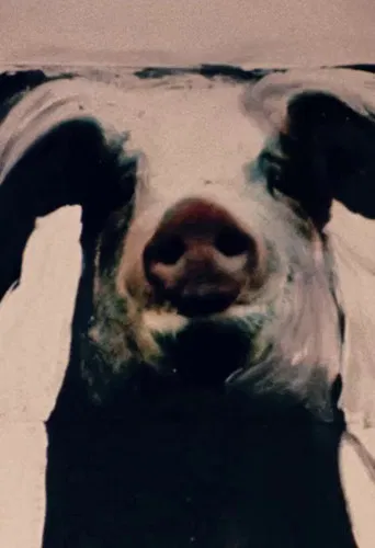 The Trail of the Pig poster