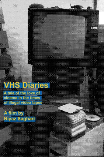 VHS Diaries poster