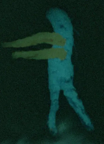 Final Obscura poster