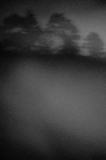 Cosa Che Fugge poster