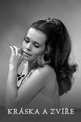 Kráska a zvíře poster