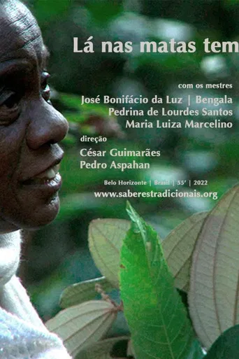Lá nas Matas Tem poster